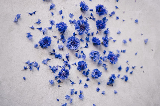 Qu'est-ce que la Centaurea Cyanus Flower Water et quel est son rôle ?